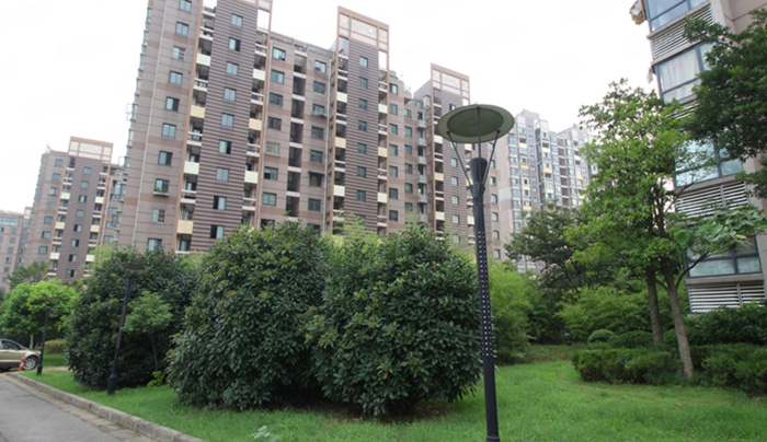 国信阅景龙华